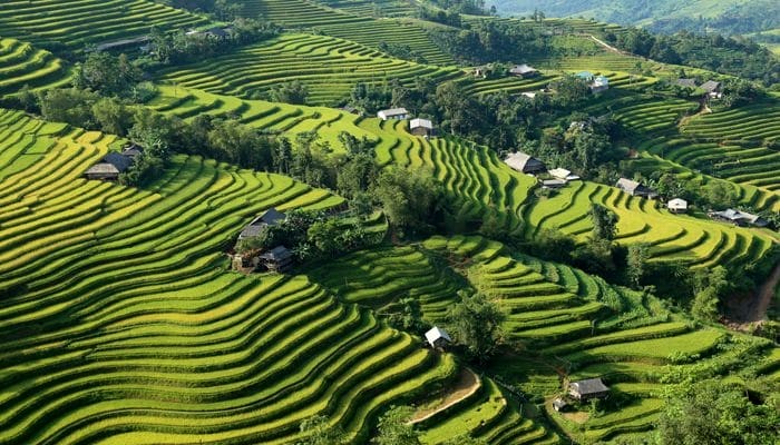 Ha-giang